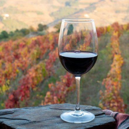 marketing-bebidas (3)